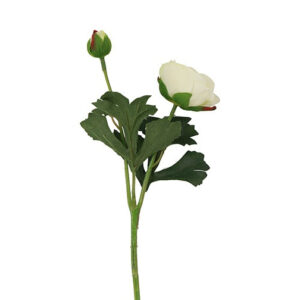 Ranunkel hvid h 34 cm