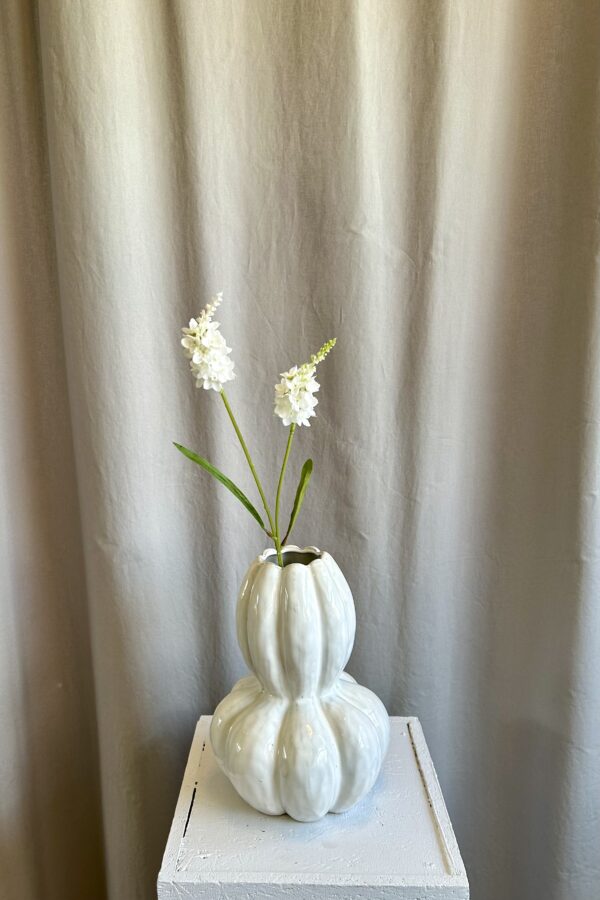 Lysimachia hvid h 63 cm - Billede 4