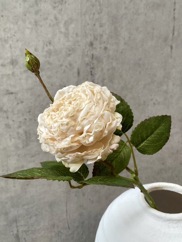 Rose vintage creme h 45 cm - Image 3