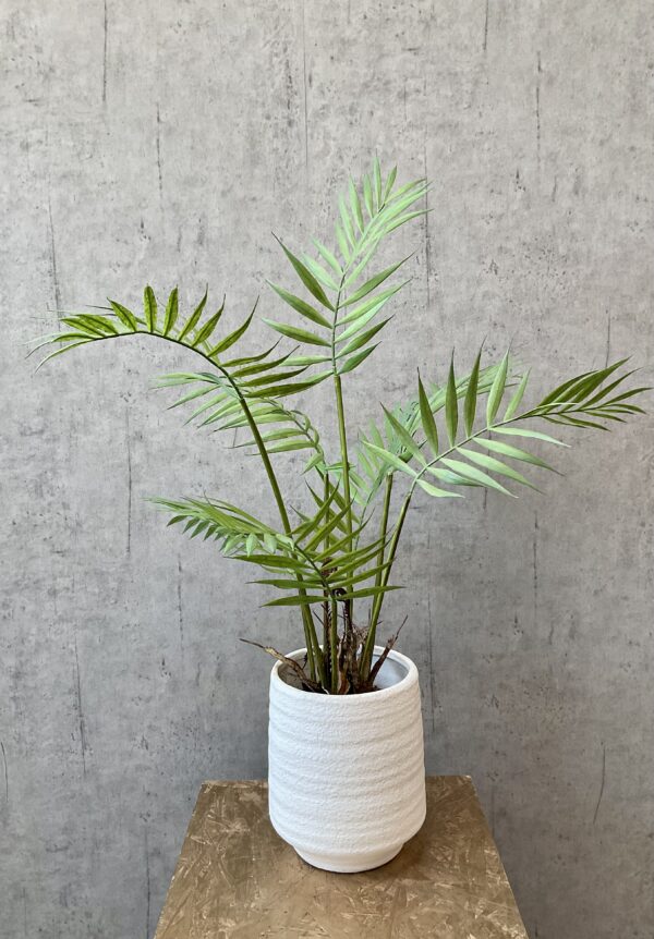 Palme grøn h 70 cm - Image 2