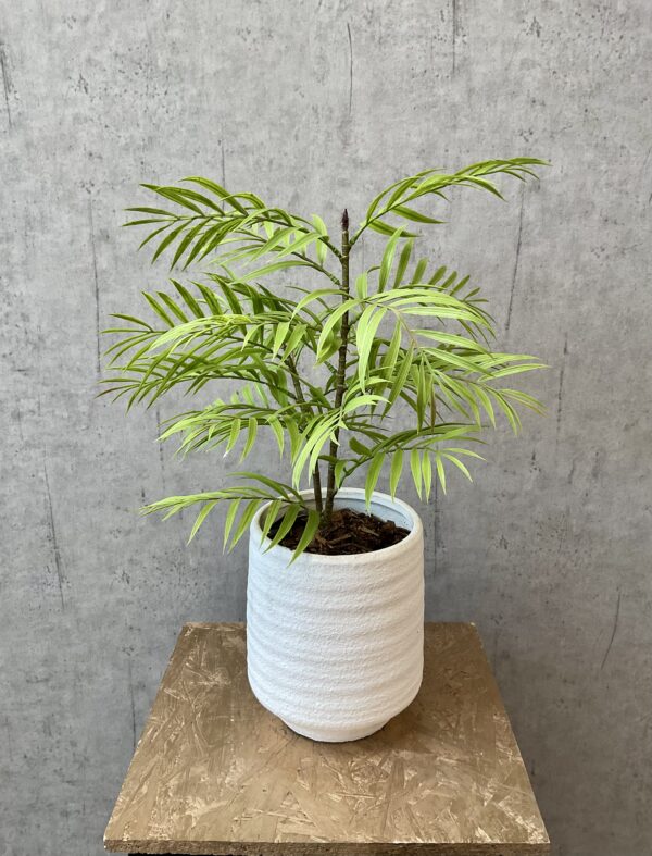 Palme grøn h 48 cm - Billede 2