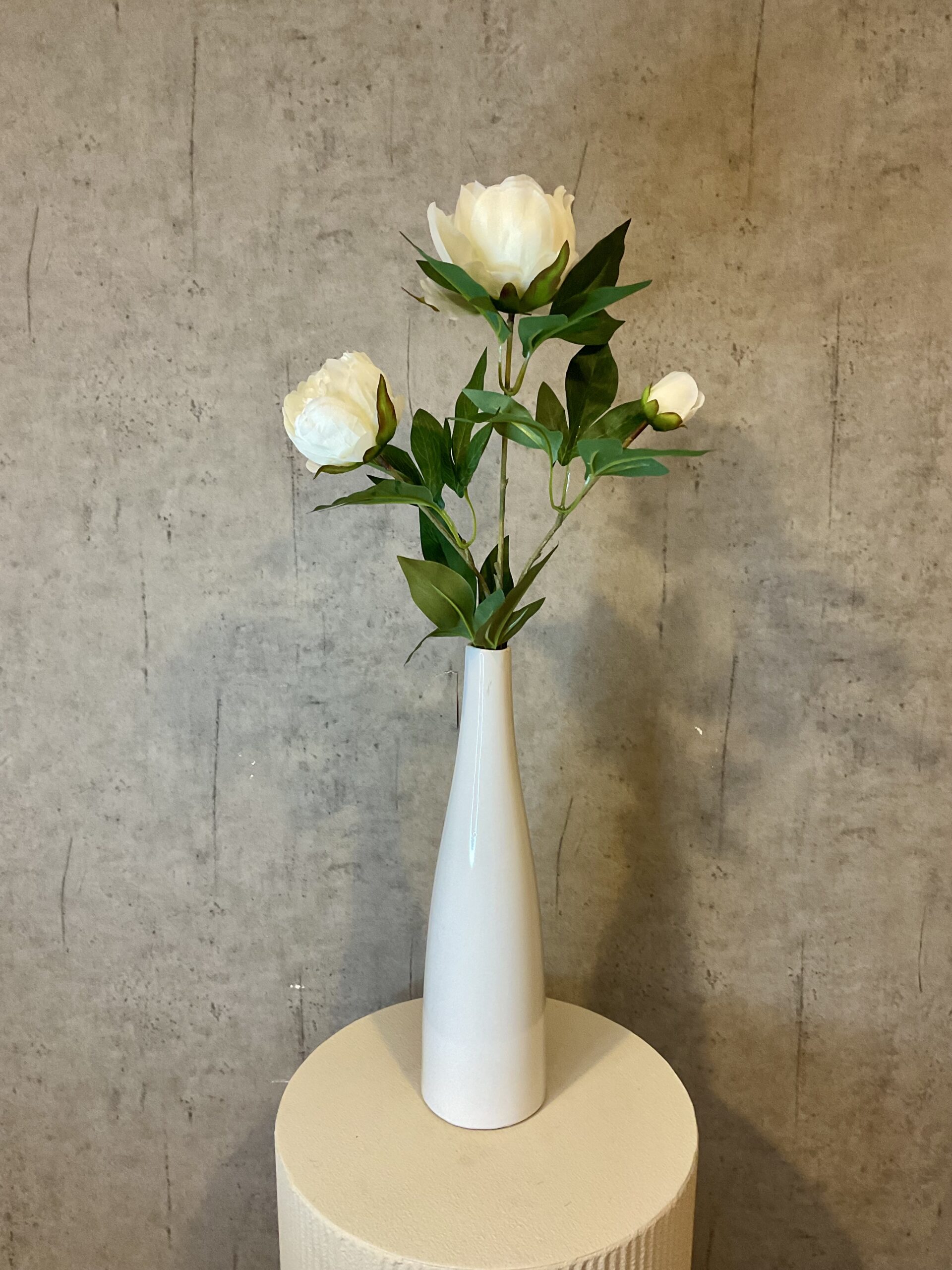 Peony hvid h 73 cm - Billede 5