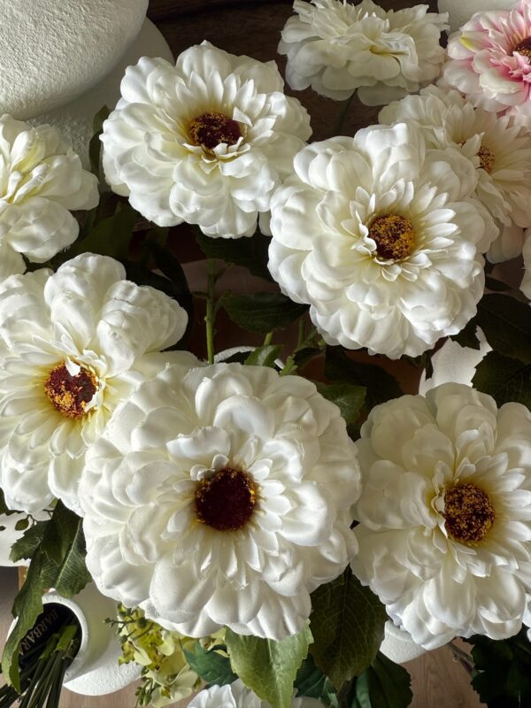 Zinnia hvid h 63 cm - Billede 6