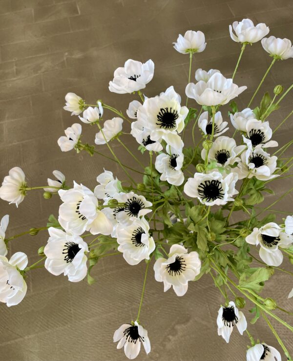 Anemone hvid h 81 cm - Image 5