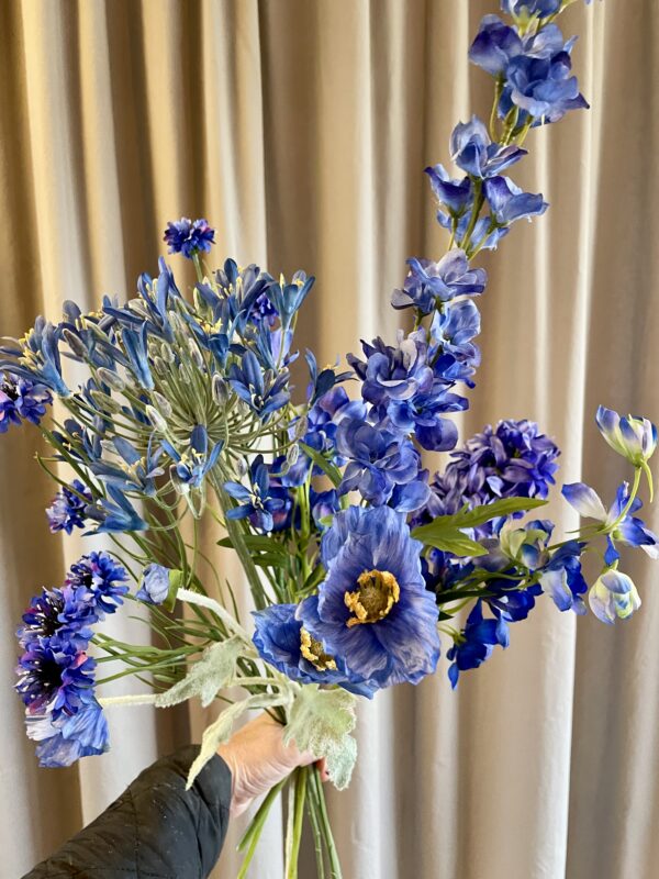 Agapanthus blå h 90 cm - Image 6