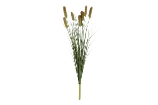Miscanthus grøn  buket 80 cm