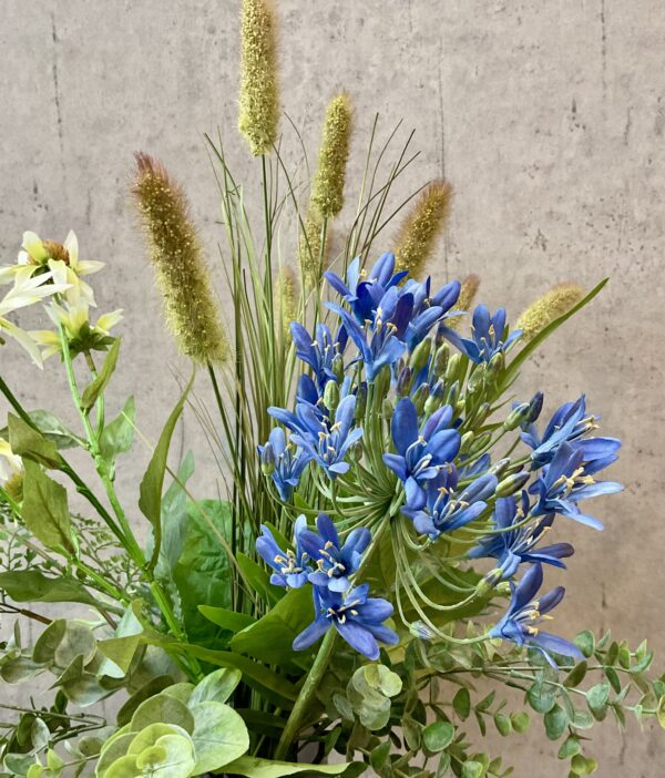 Agapanthus blå h 90 cm - Image 2