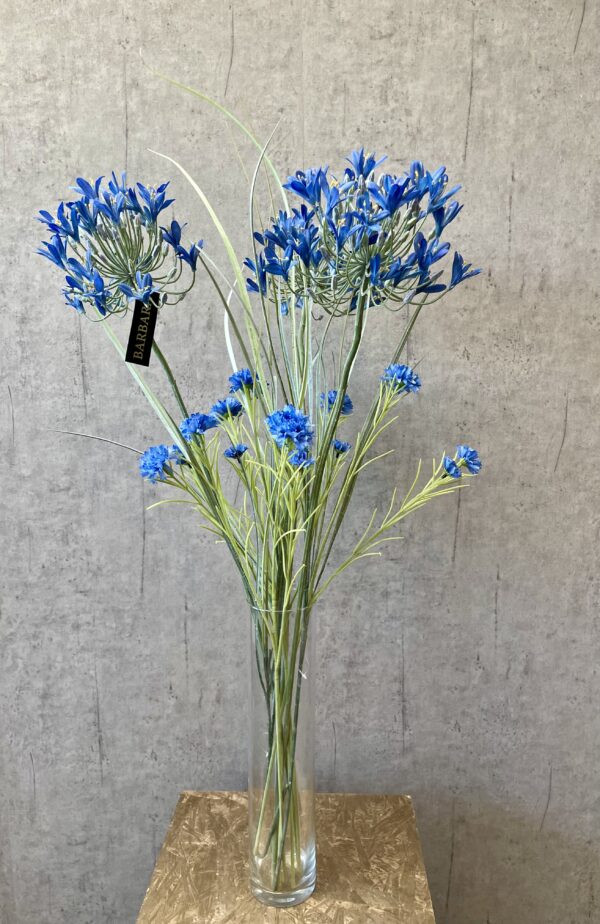 Agapanthus blå h 90 cm - Image 4