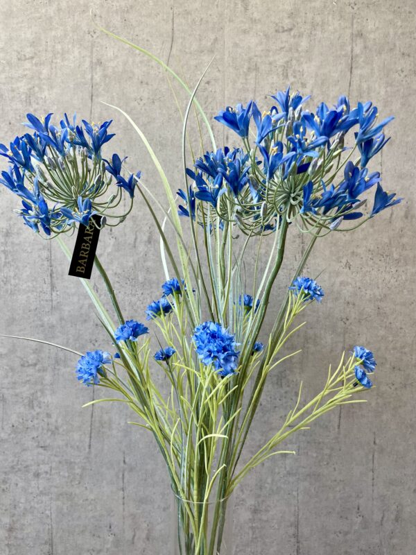 Agapanthus blå h 90 cm - Image 5