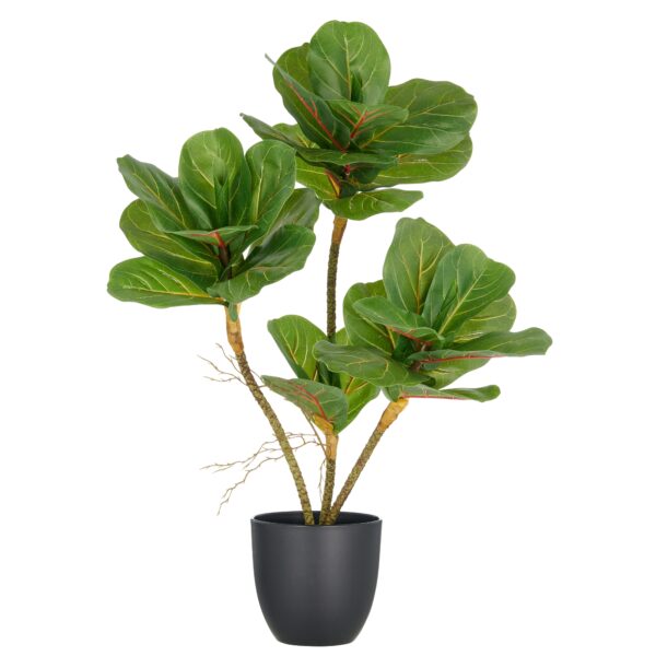 Violinfigen ficus lyrata h 65 cm i potte