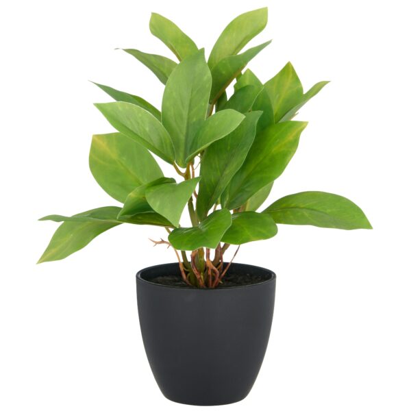 Epipremnum h 24 cm i potte