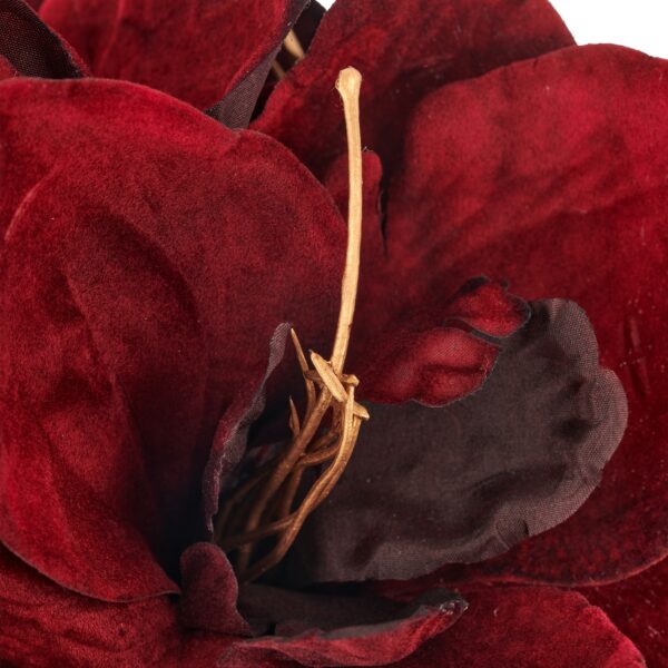 Amaryllis Bordeaux h 64 cm - Image 2
