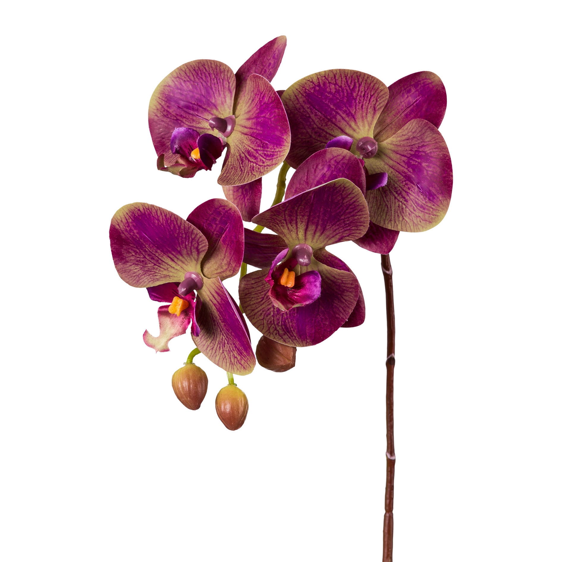 Orkide/phalaenopsis lilla real touch h 44 cm