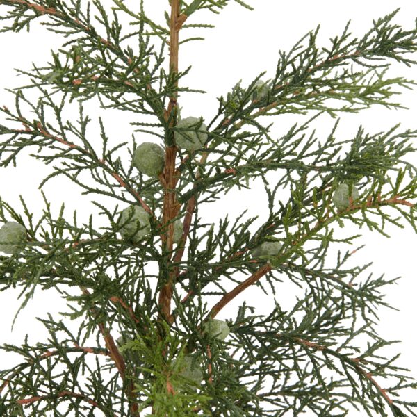 Cypress i potte grøn h 74 cm - Image 2