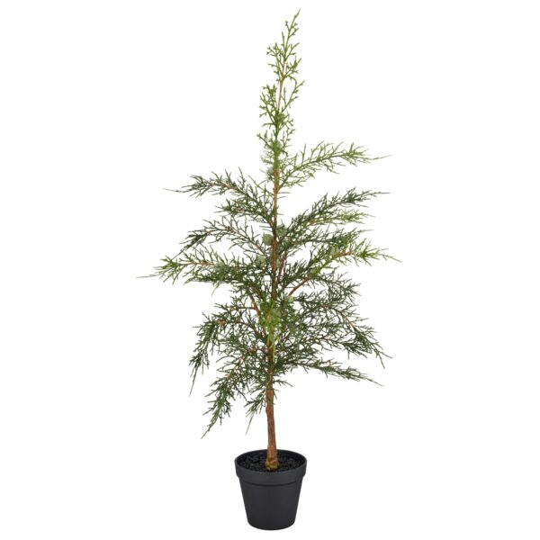 Cypress i potte grøn h 74 cm