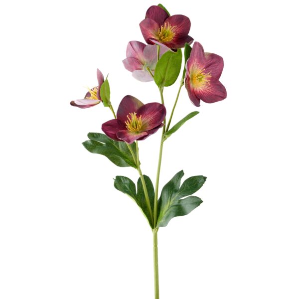 Julerose purple h 44 cm