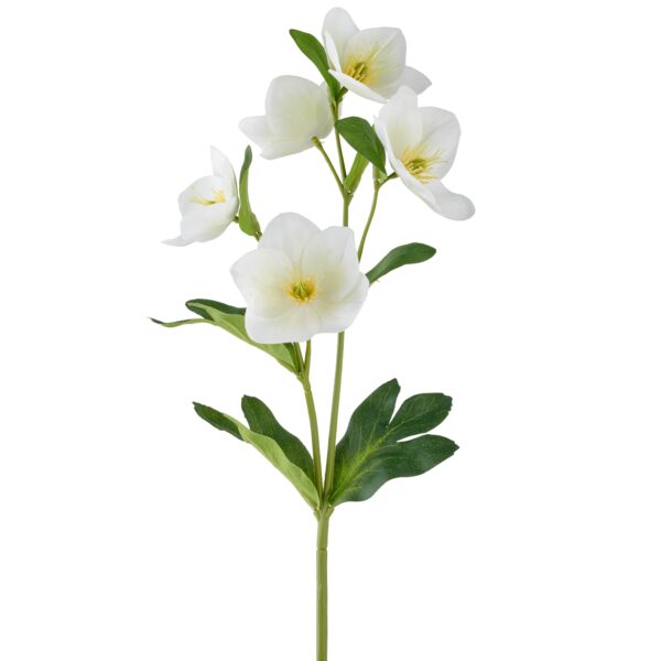 Julerose Hvid h 44 cm
