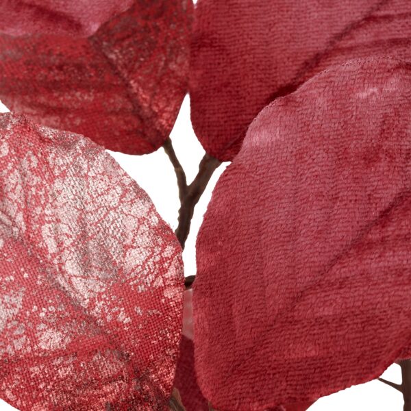 Bøgegren cerise h 98 - Image 2