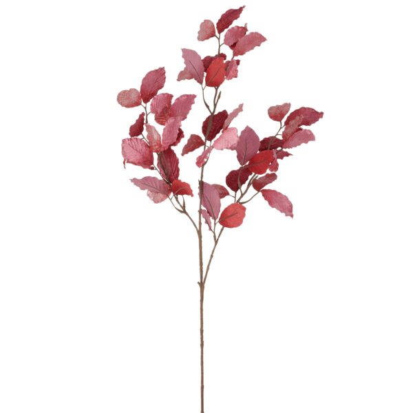 Bøgegren cerise h 98
