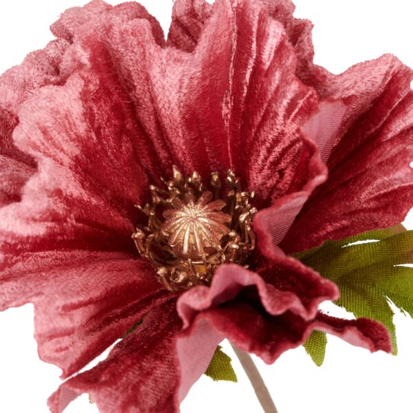 Valmue cerise h 77 cm - Image 2