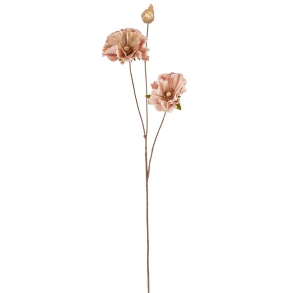 Valmue champagne h 77 cm