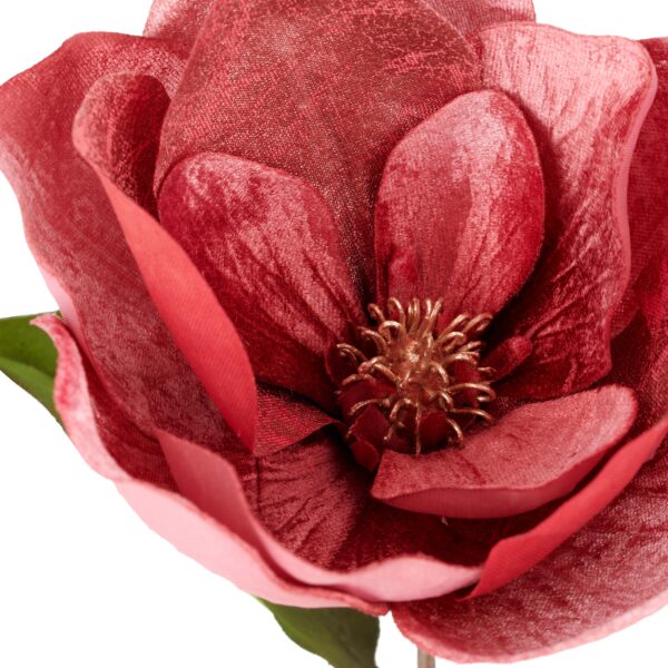 Magnolia cerise h 76 cm - Image 2