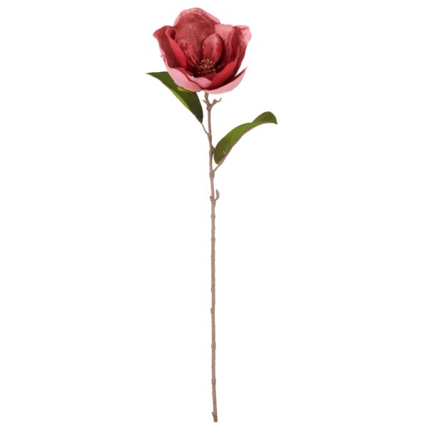 Magnolia cerise h 76 cm