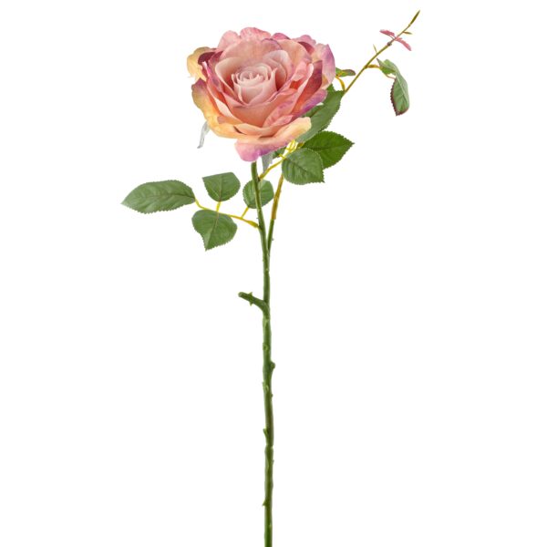 Rose rosa h 72 cm