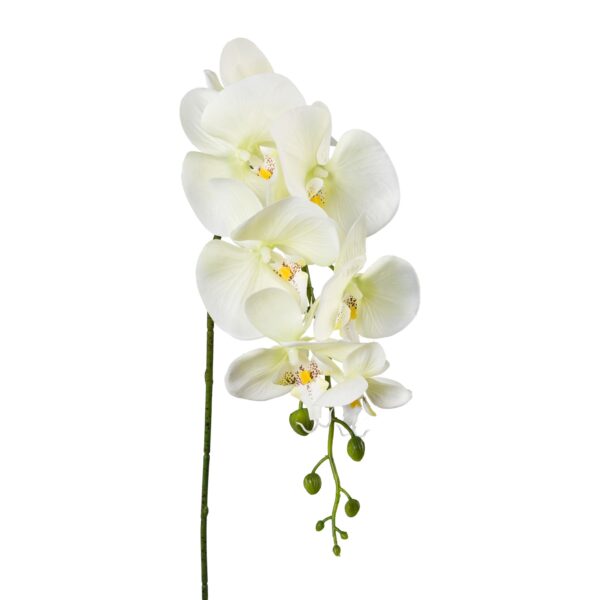 Orkide/phalaenopsis lys grøn h 86 cm