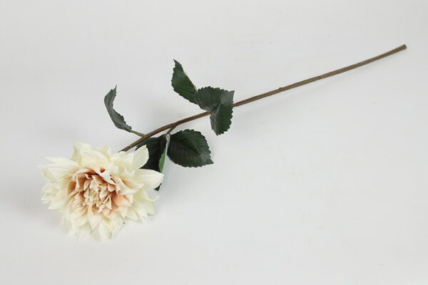 Dahlia creme h 71 cm - Image 2