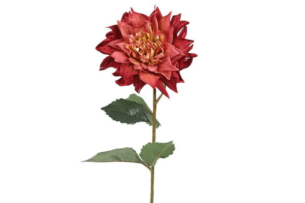 Dahlia lys bordeaux h 71 cm