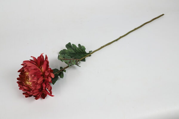 Chrysanthemum lys bordeaux h 75 cm - Image 2
