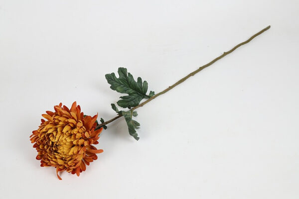Chrysanthemum lys orange h 75 cm - Image 2