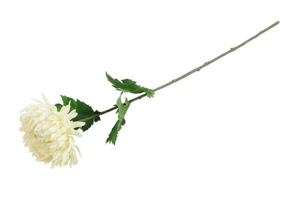 Chrysanthemum hvid h 75 cm - Image 2