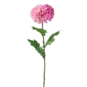 Dahlia lilla h 75 cm