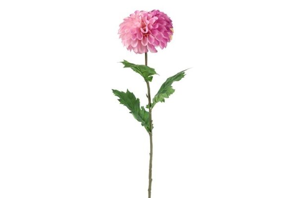 Dahlia lilla h 75 cm