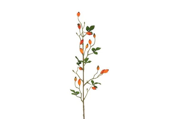 Hyben orange h 83 cm