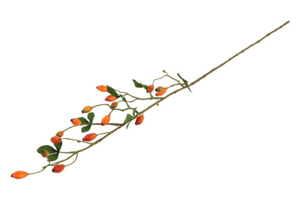 Hyben orange h 83 cm - Image 2