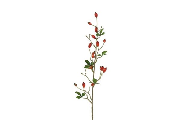 Hyben rød h 83 cm