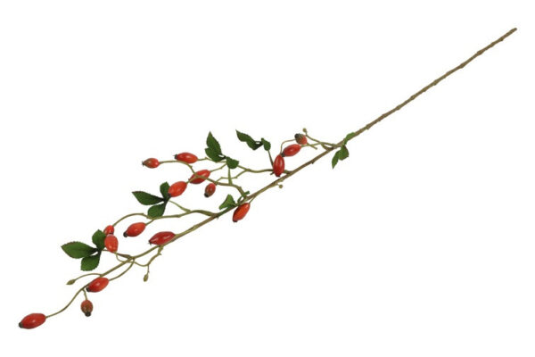 Hyben rød h 83 cm - Image 2