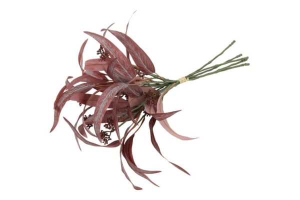Eucalyptus rød bundt a 5 h 44 cm - Image 2