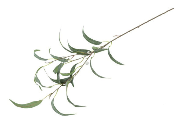 Eucalyptus grøn h 90 cm - Image 2