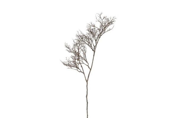 Gren brun  h 96  cm
