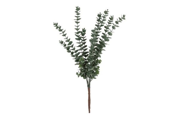 Eucalyptus grøn h 61 cm