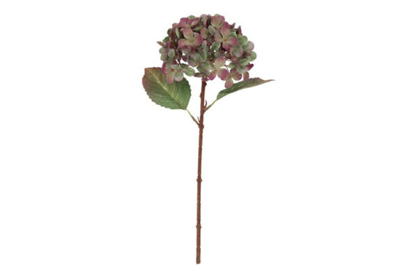 Hortensia grøn/lilla h 40 cm