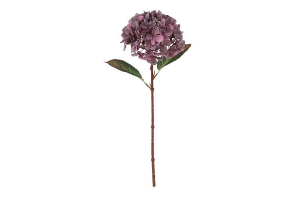 Hortensia lilla h 40 cm
