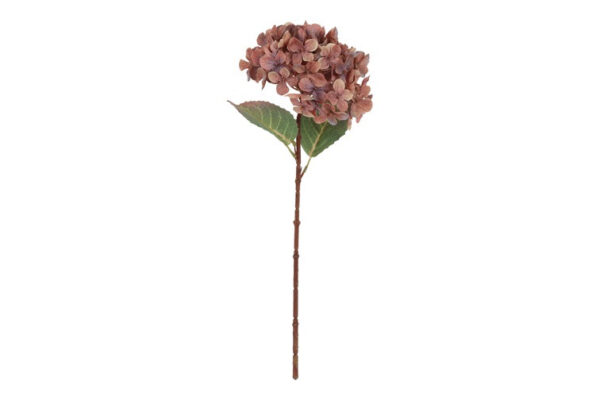 Hortensia copper h 70 cm