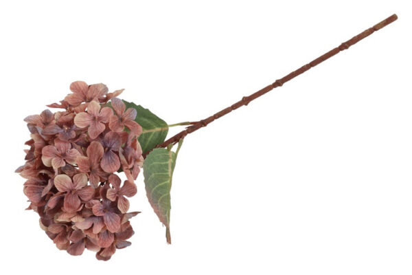 Hortensia copper h 70 cm - Image 2