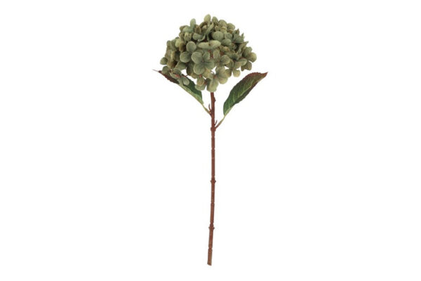 Hortensia grøn h 40 cm