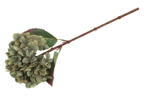 Hortensia grøn h 40 cm - Image 2